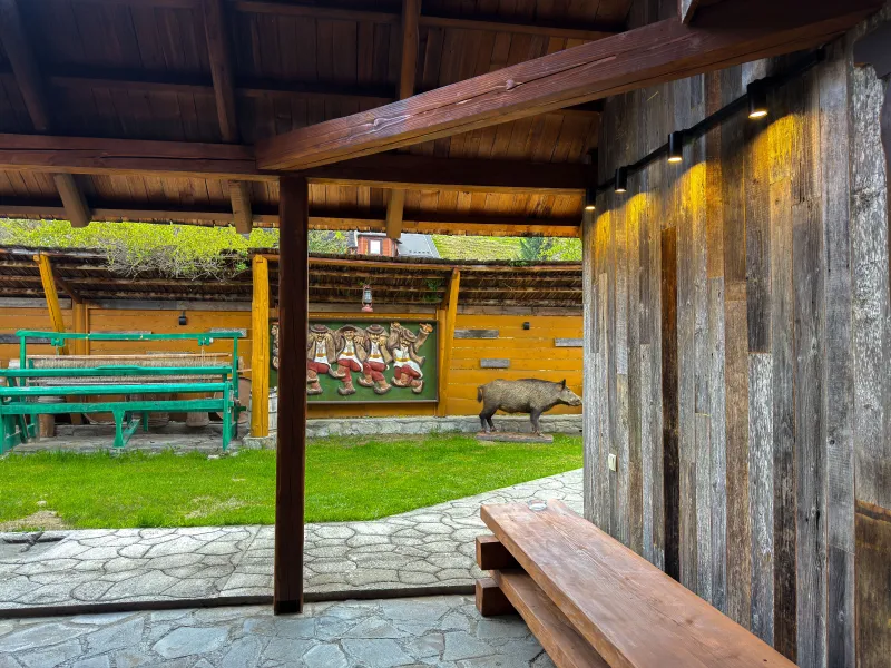 Чан, Сауна